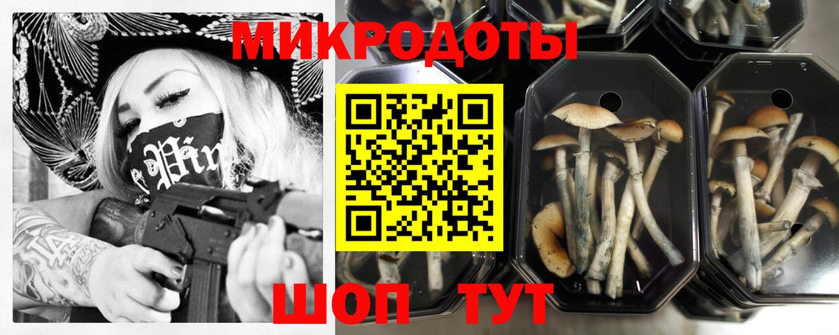 Еманжелинск  продажа наркотиков  Псилоцибиновые грибы MAGIC MUSHROOMS  Вход с VPN  Псилоцибиновые грибы Psilocybe 