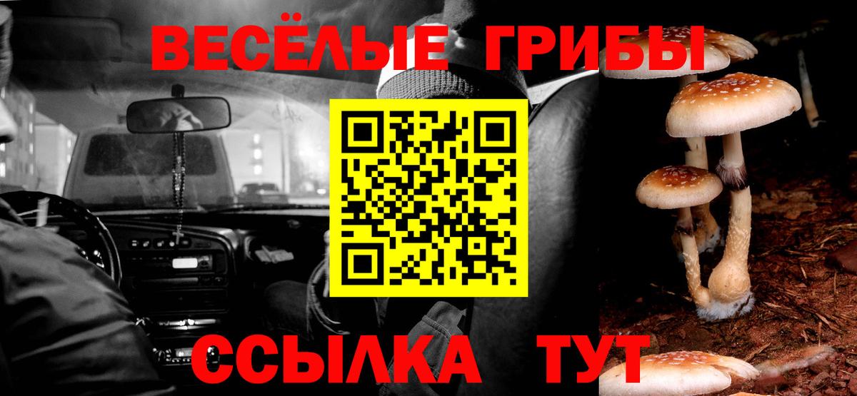 Галлюциногенные грибы мицелий Еманжелинск
